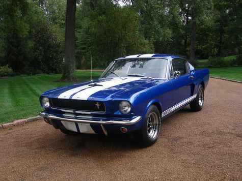 1965 Ford Mustang 289 Fastback Shelby GT 350 Model US 1800000 QUICK SELL 