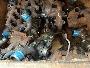 Used Turbos for sale in Bulk 7,000x pieces job lot - photo 3