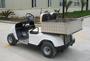 Electric pick up truck(small)