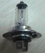 H7 12/24v Halogen Headlight Bulb