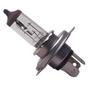Hella Halogen Bulbs H4 12V 100/90W - 78146