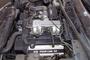 Lexus quad cam V8 halfcuts