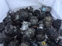 Scrap AC Compressors 20, 000kg